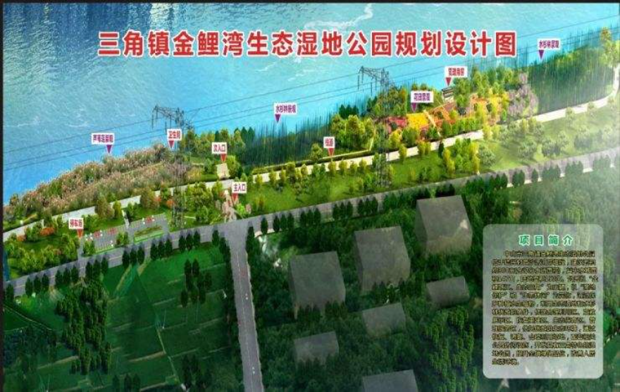 金鯉灣生態(tài)濕地公園