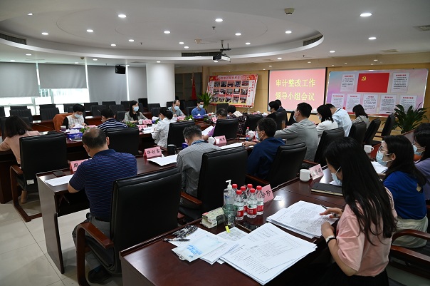 審計整改工作領導小組會議.JPG