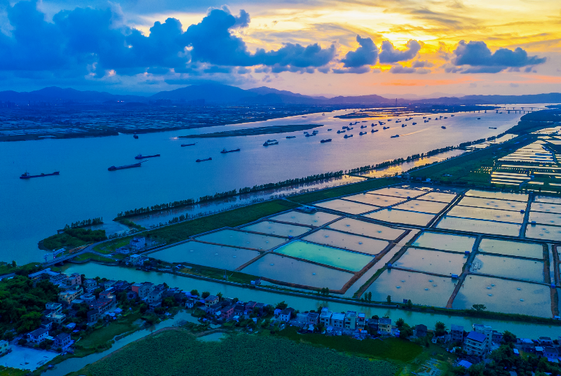 中珠聯圍海堤.jpg