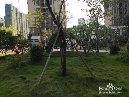 中山三角兒童公園有什么好玩的？
