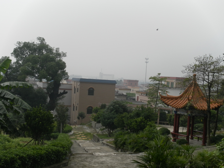 鎮一村古樹公園.JPG