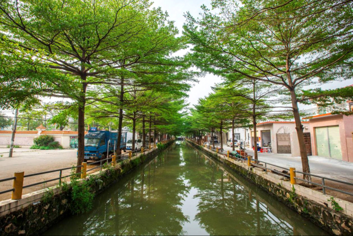 河道綠化.png