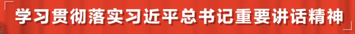 學習貫徹落實習近平總書記重要講話精神