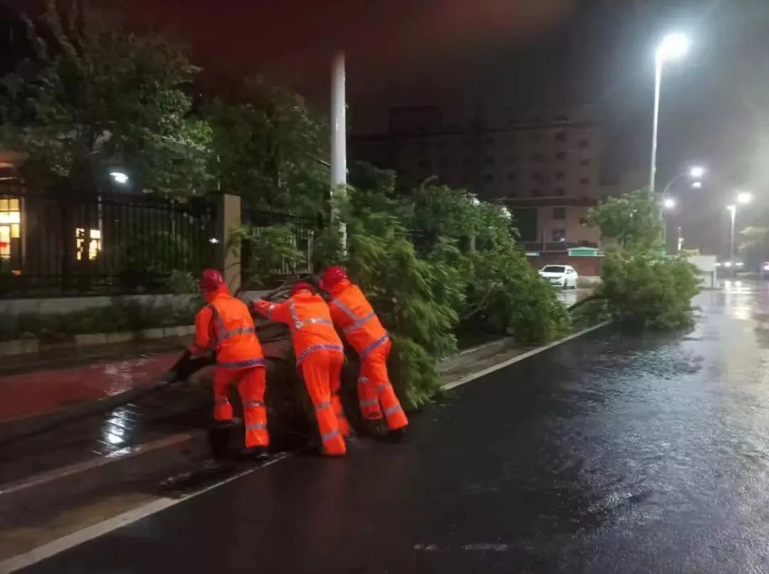 市委常委會召開會議：切實扛起環(huán)保督察整改責任 加大全市未達標水體整治力度 (1).jpeg