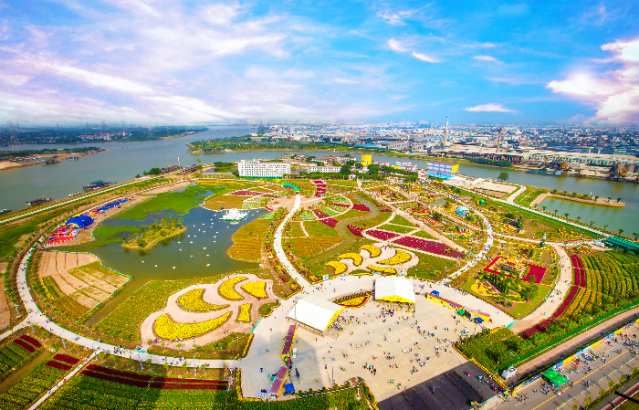 小欖鎮(zhèn)，《2016年小欖菊花會全景》，地點：小欖菊花園，時間：2016.11.20，拍攝者：陳健鴻.jpg