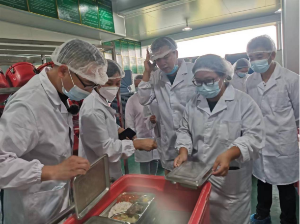 自動轉存圖片