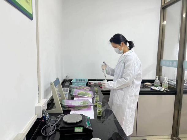 自動轉存圖片