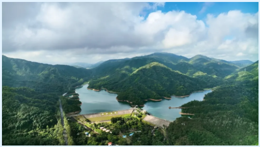 中山市政府門戶網站.png