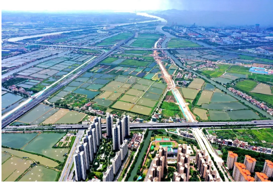 交通布局再優化，港口鎮四通八達勢已成.png