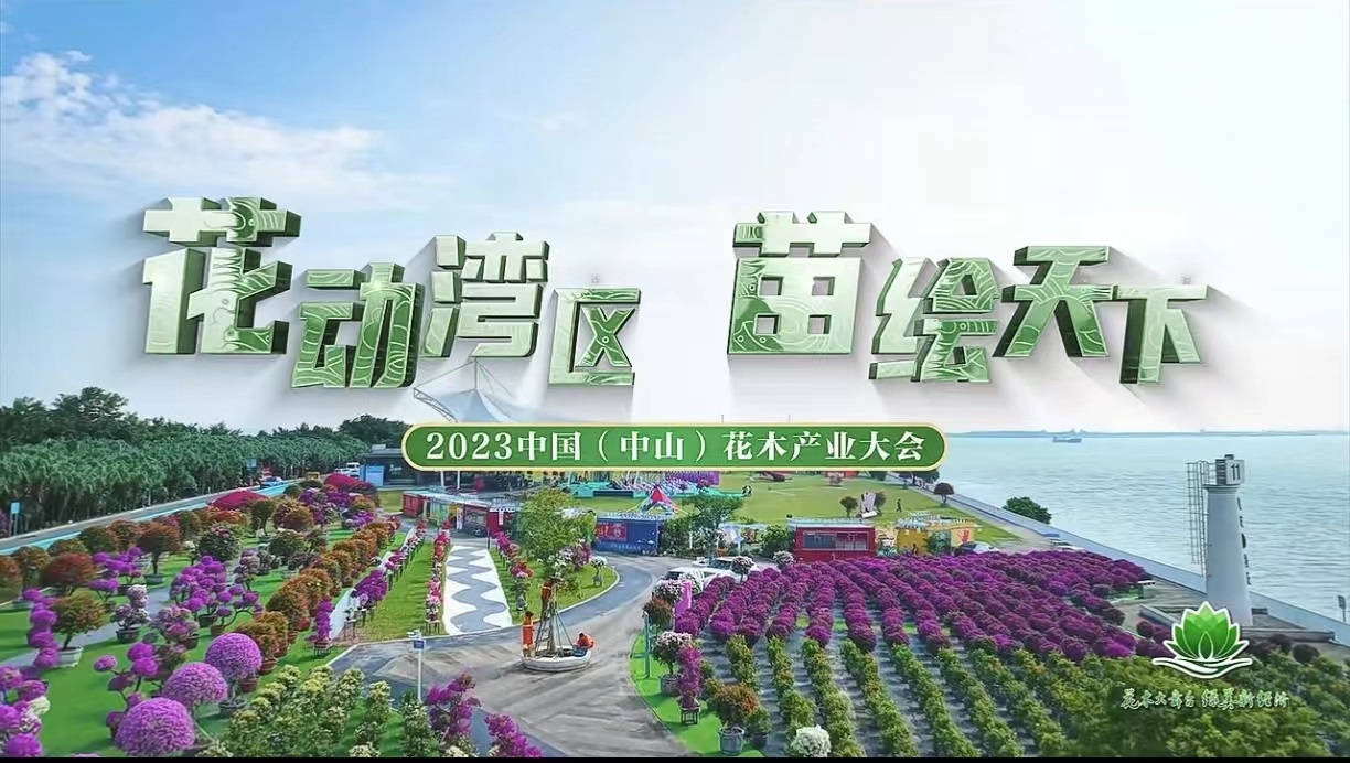 花動灣區