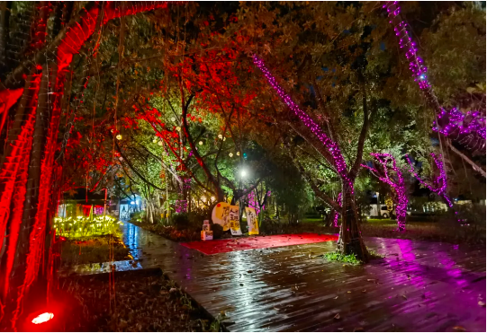 郭文海：因地制宜發展夜經濟 打造更多聚人氣促消費的新業態新場景1.png