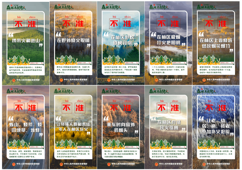 （已核）森林防火正當時，這些知識需牢記！_03.png