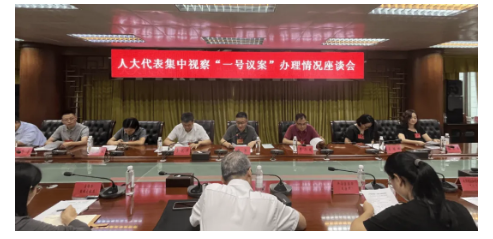 市人大代表視察港口鎮“百千萬工程”進展情況2.png