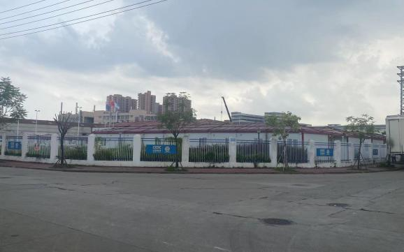 圖片