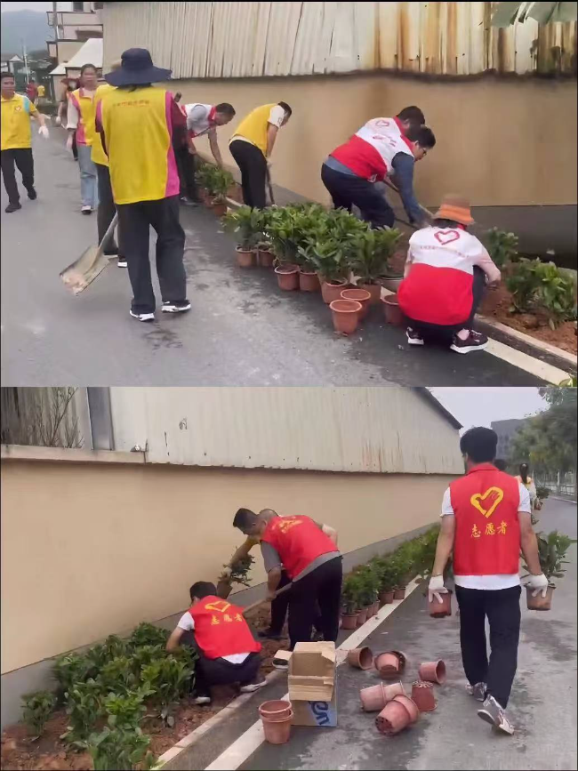 已編輯圖片