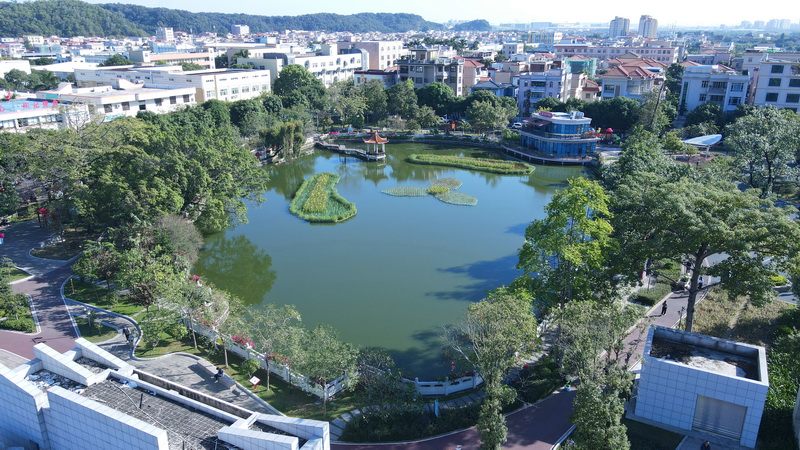 三角鎮(zhèn)中心公園風貌