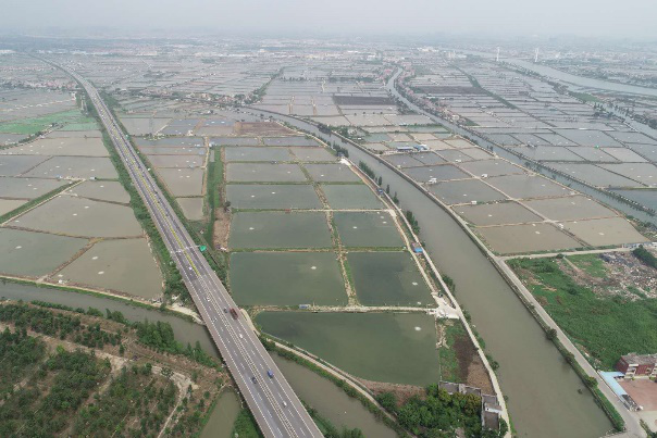 中山食品水產.png