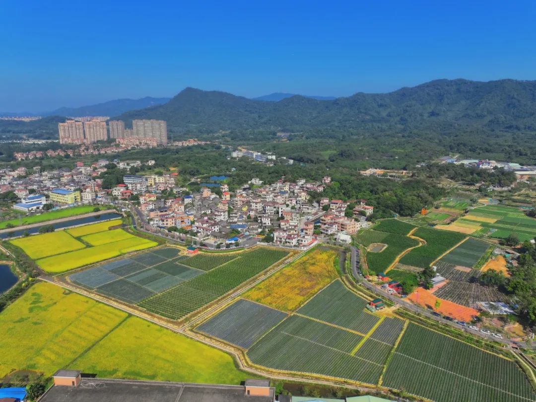 微信圖片_20250319163453(1).jpg