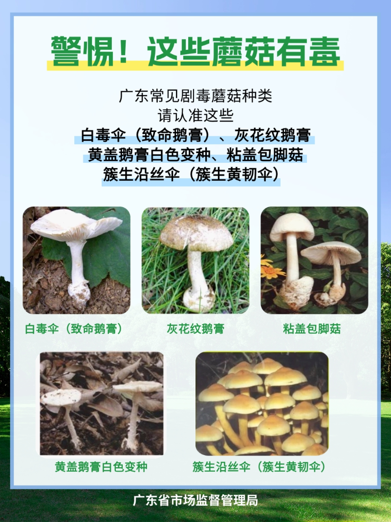 圖片9.png