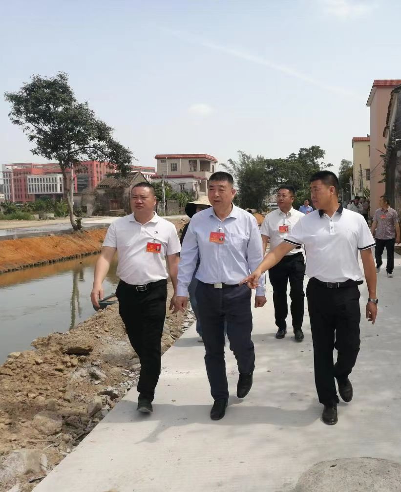 繪就美麗河湖新藍圖！神灣鎮人大代表專項視察“一河兩岸”建設