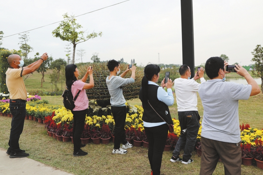 p6.jpg