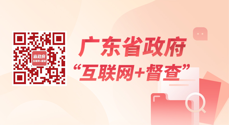 廣東省政府“互聯網+督查”平臺